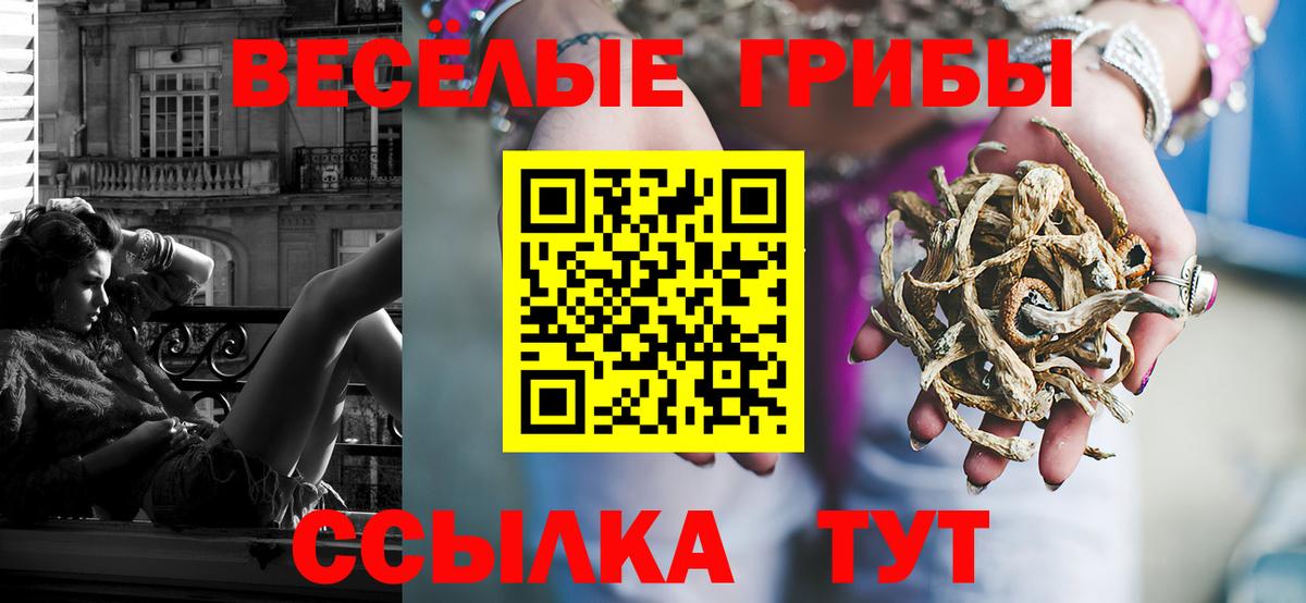 Псилоцибиновые грибы Magic Shrooms Реж