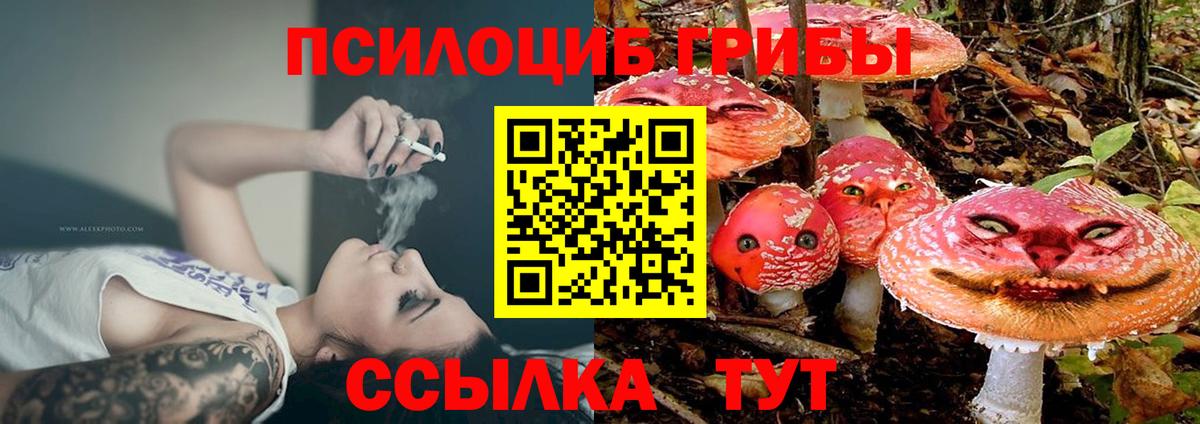Псилоцибиновые грибы прущие грибы  купить закладку  Реж  Вход с VPN 